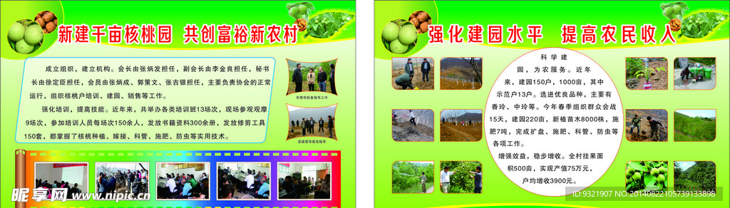 核桃建园