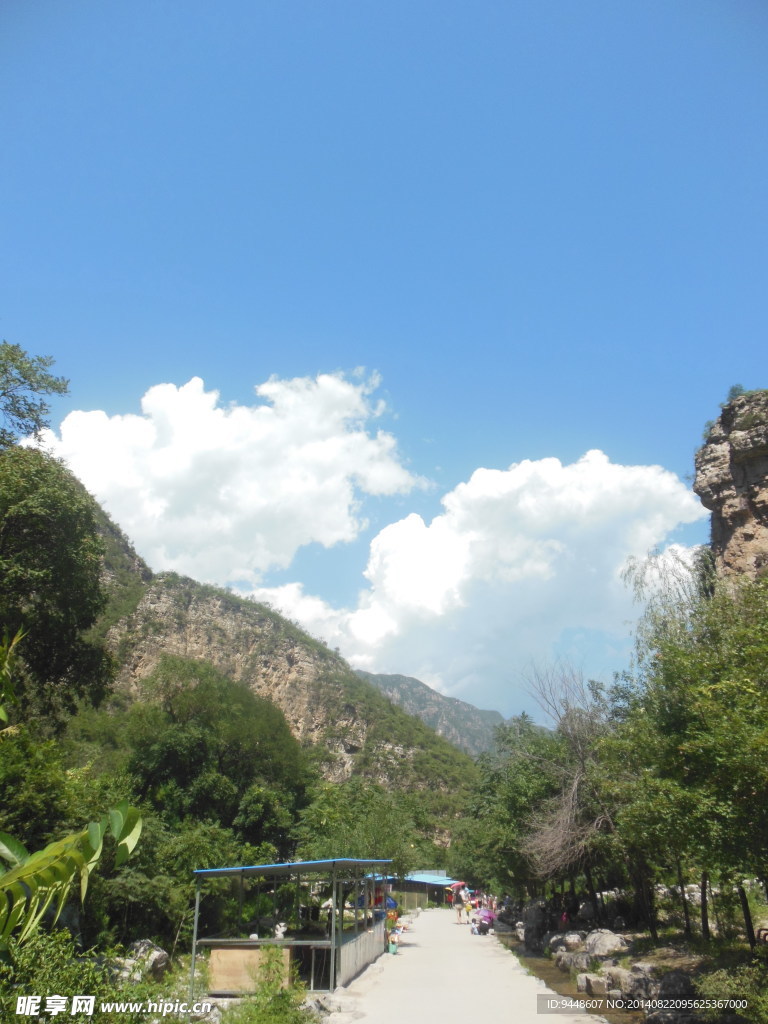 青山