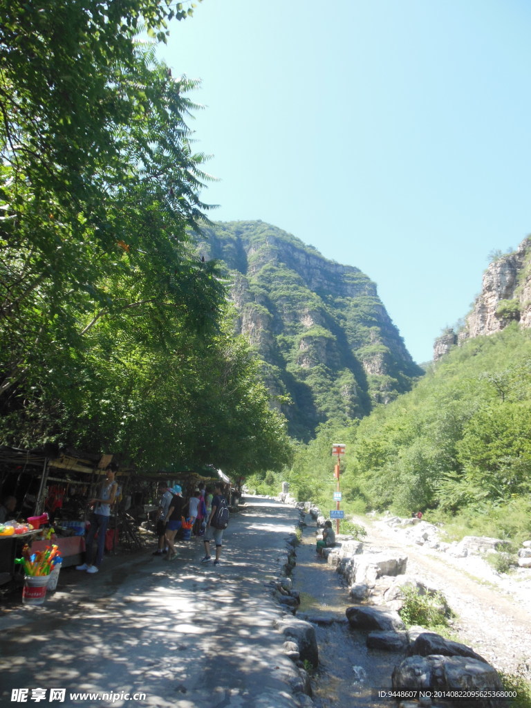 青山