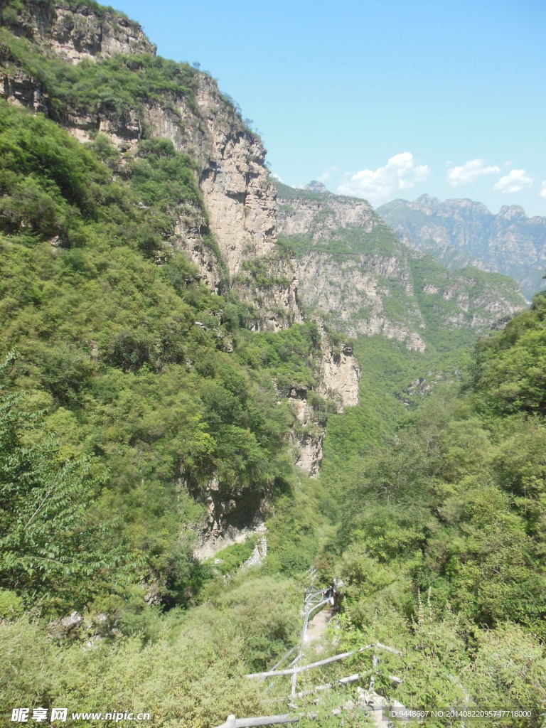 青山