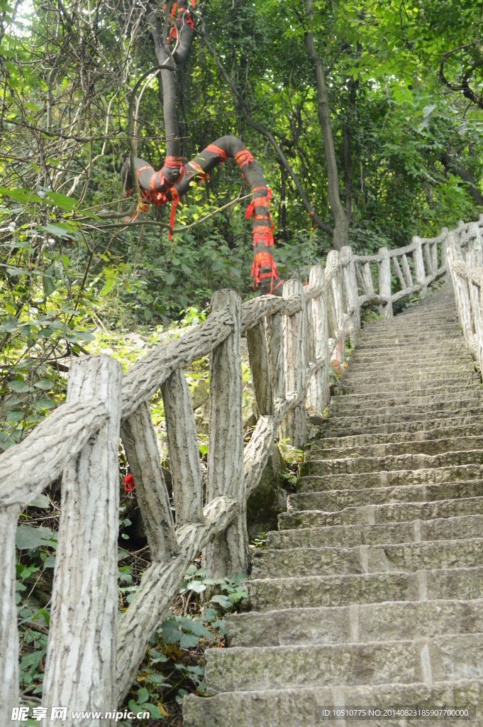 翠华山山道