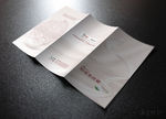 蚕丝女性三折页