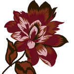 花卉