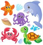 海洋生物