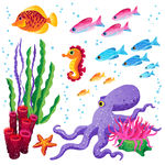 海洋生物 鱼