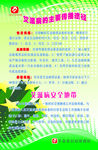 艾滋病的主要传播途径