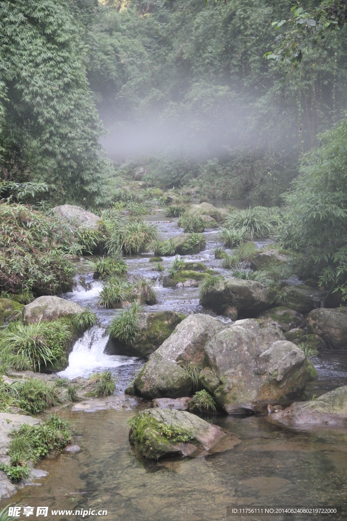 溪谷风景