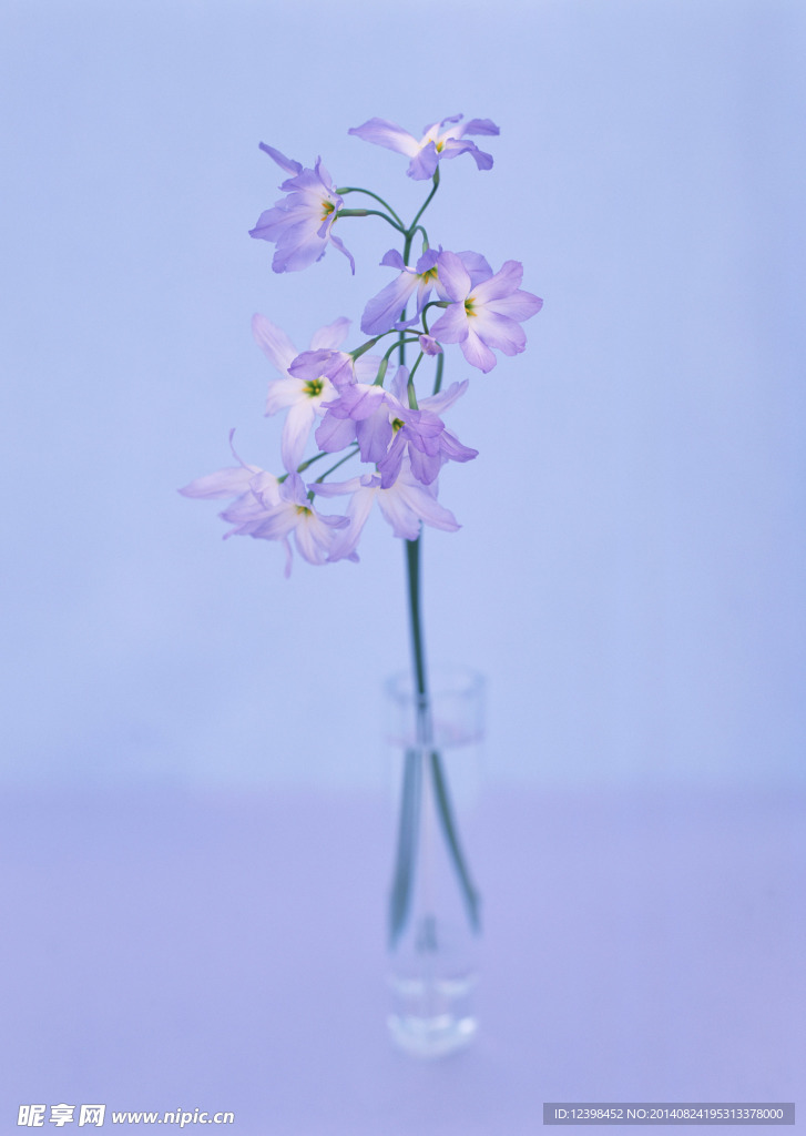 水仙花