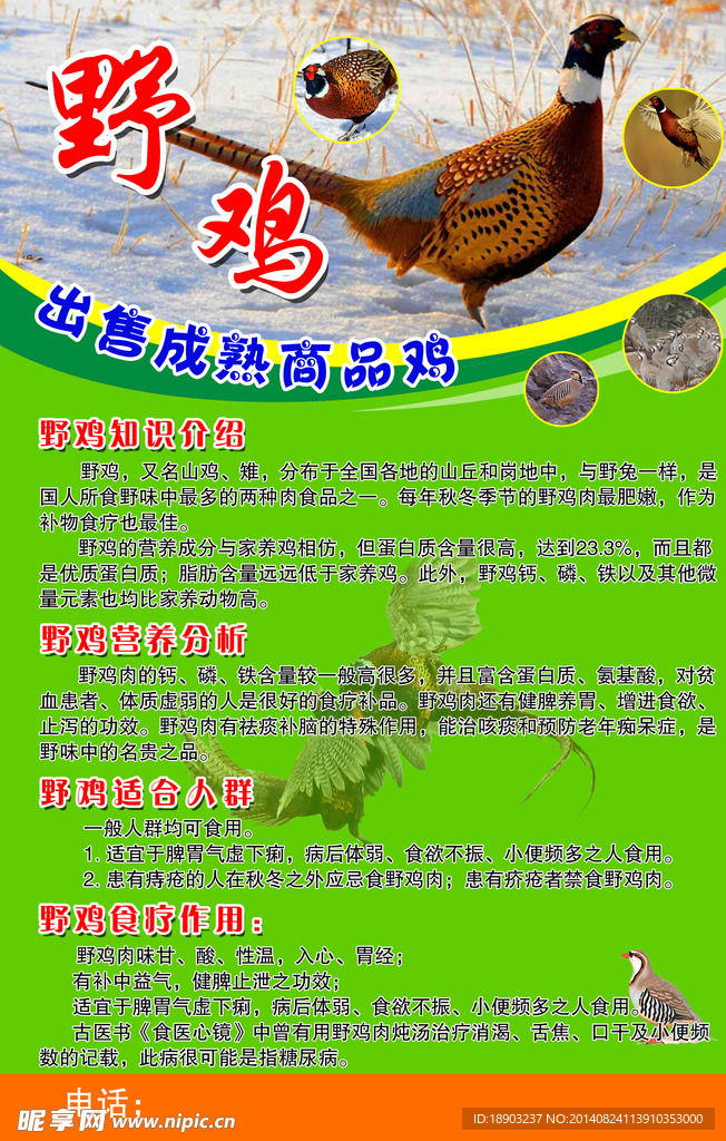 野鸡
