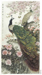 桃花孔雀