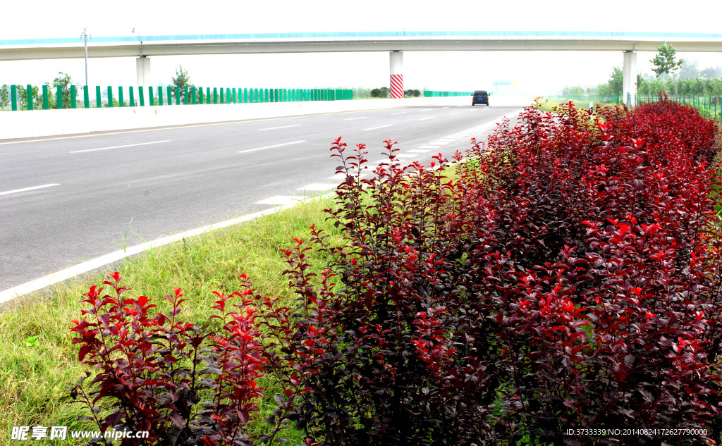 高速公路 高速 公路 