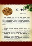 肉桂