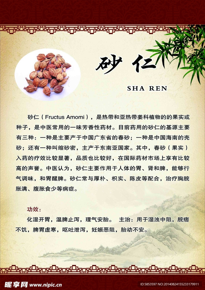 砂仁