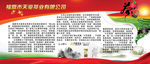 茶业公司