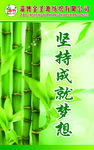 华竹