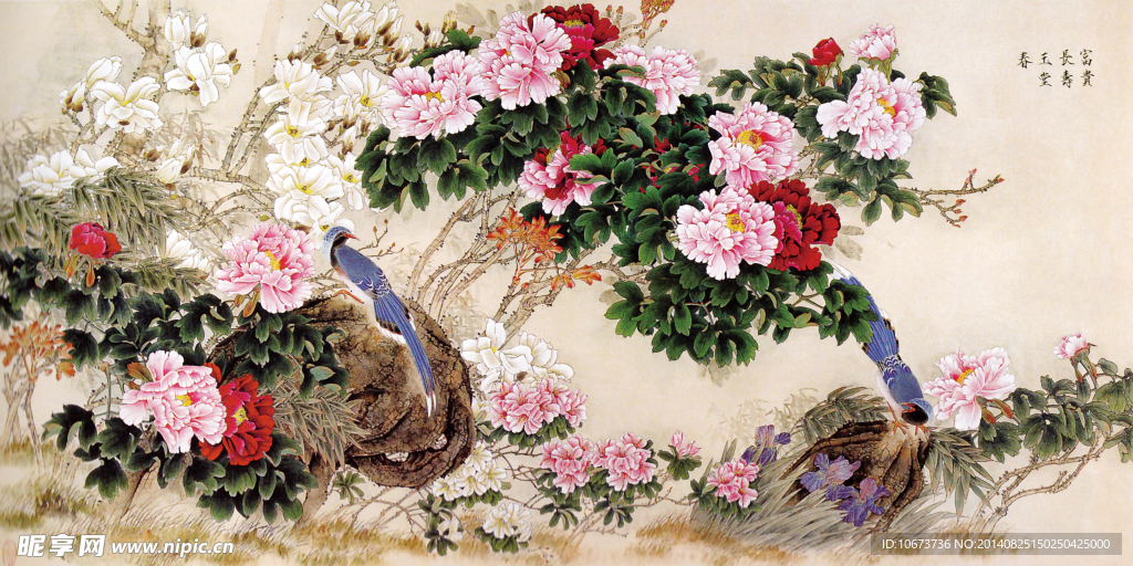 牡丹 花鸟 墙纸  中国