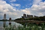 沂河风光