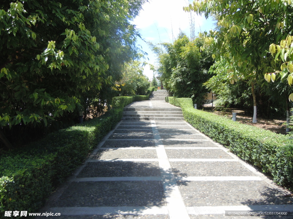 公园道路