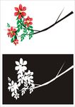 花枝