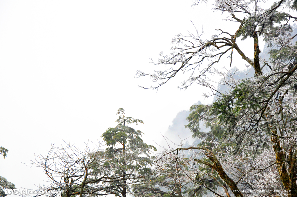 峨眉山 悬崖