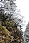 峨眉山 悬崖
