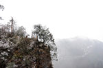 峨眉山 云海