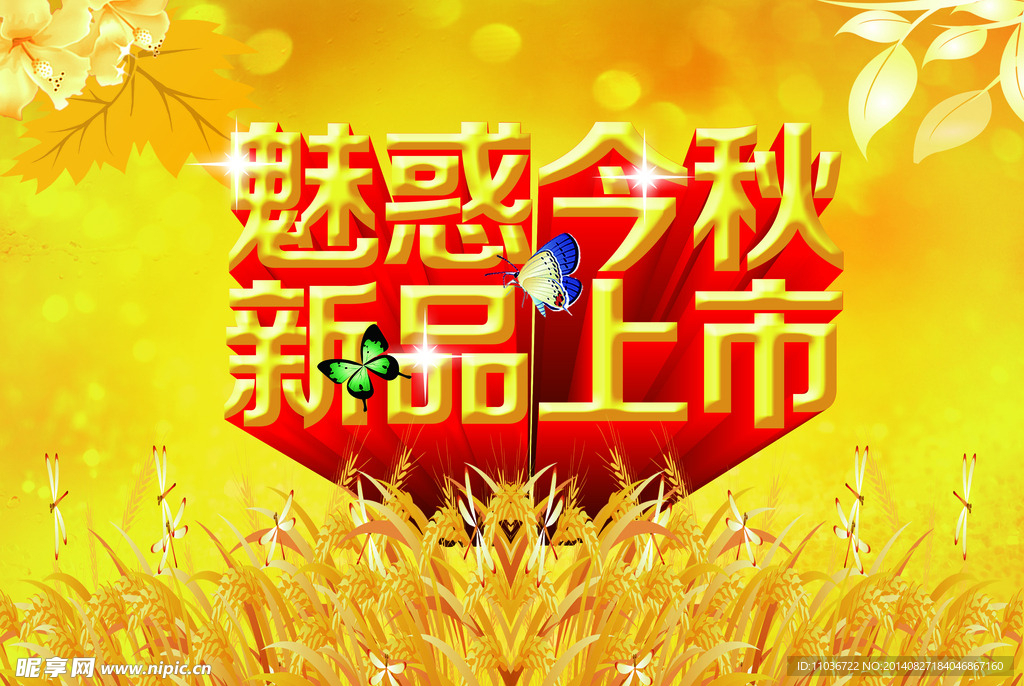 新品上市