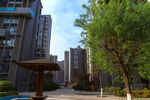 小区景观