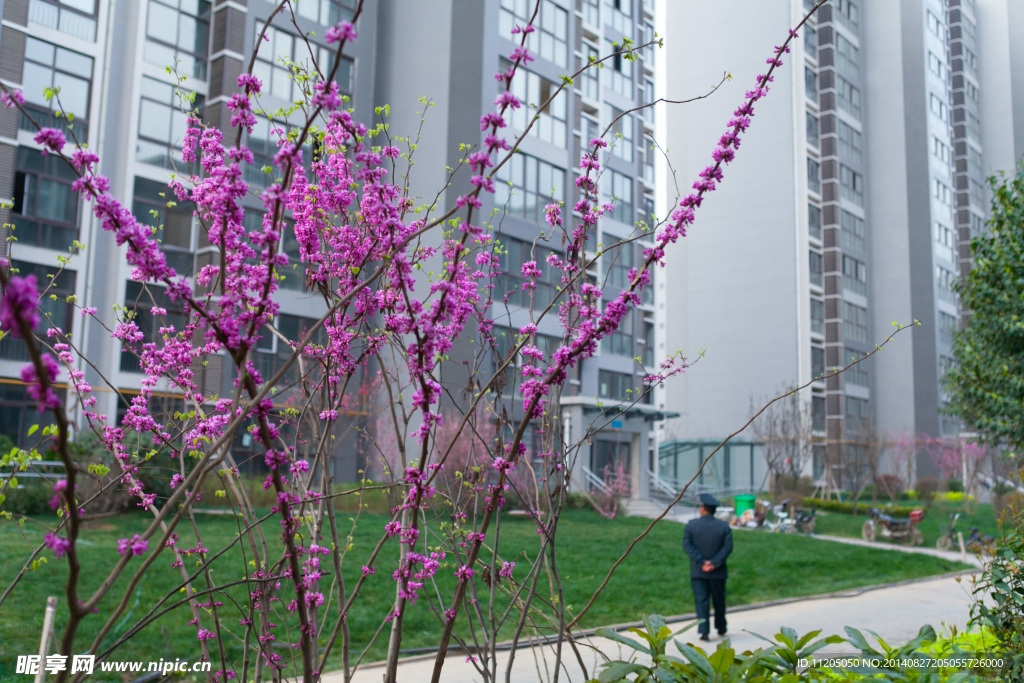 小区景观