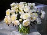 油画花瓶