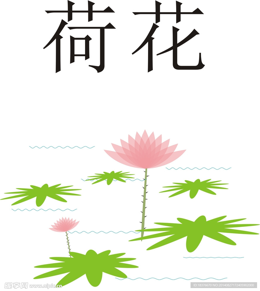 池塘 荷花