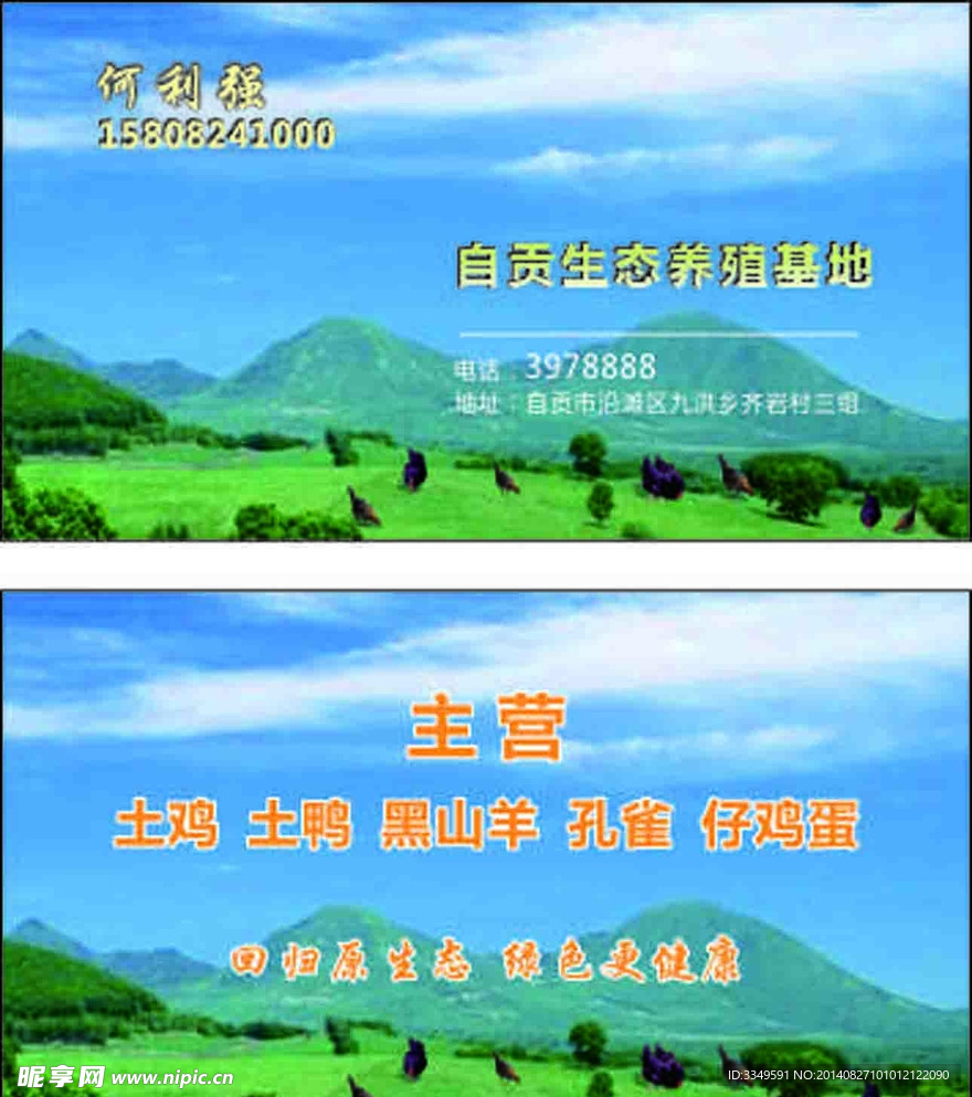 生太鸡
