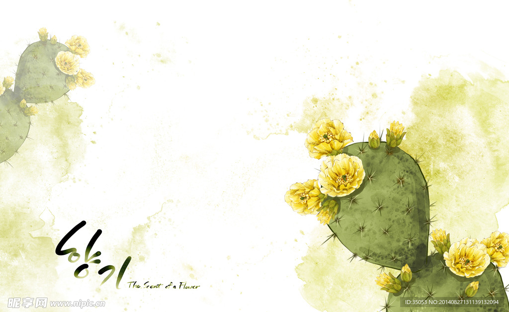 时尚花卉