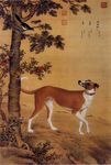 茹黄豹