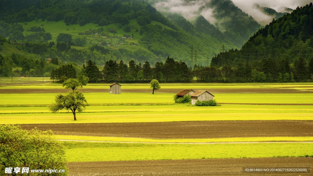 山村