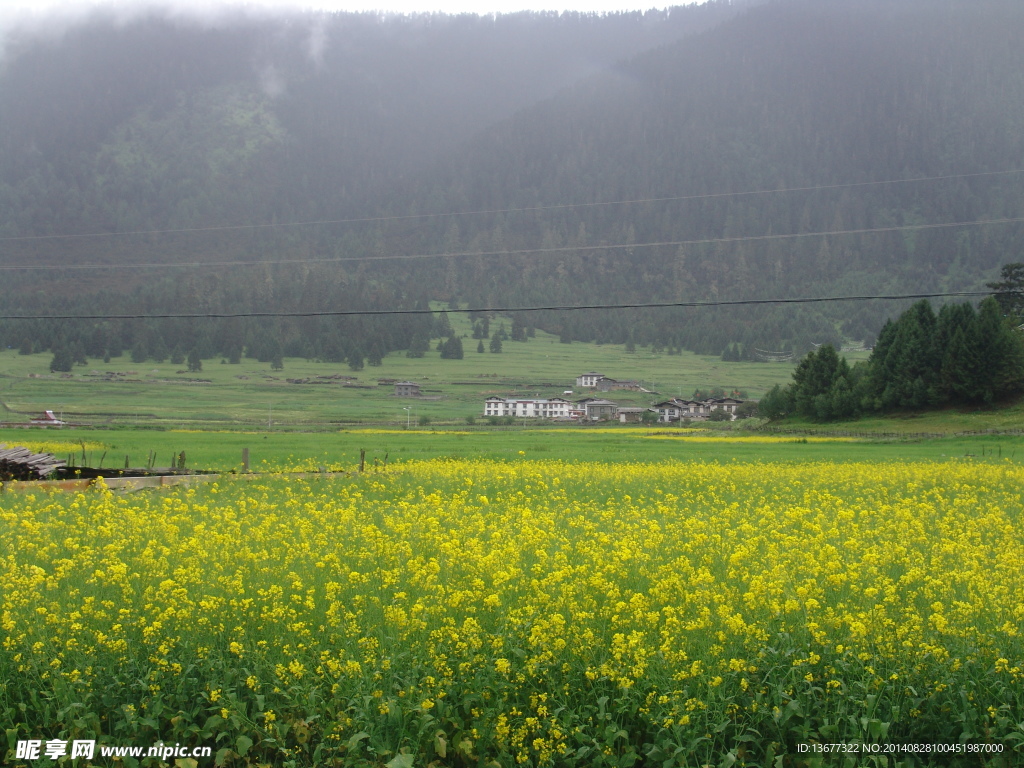 风景壁纸