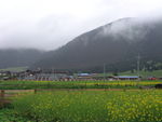 风景壁纸