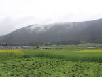 西藏风景