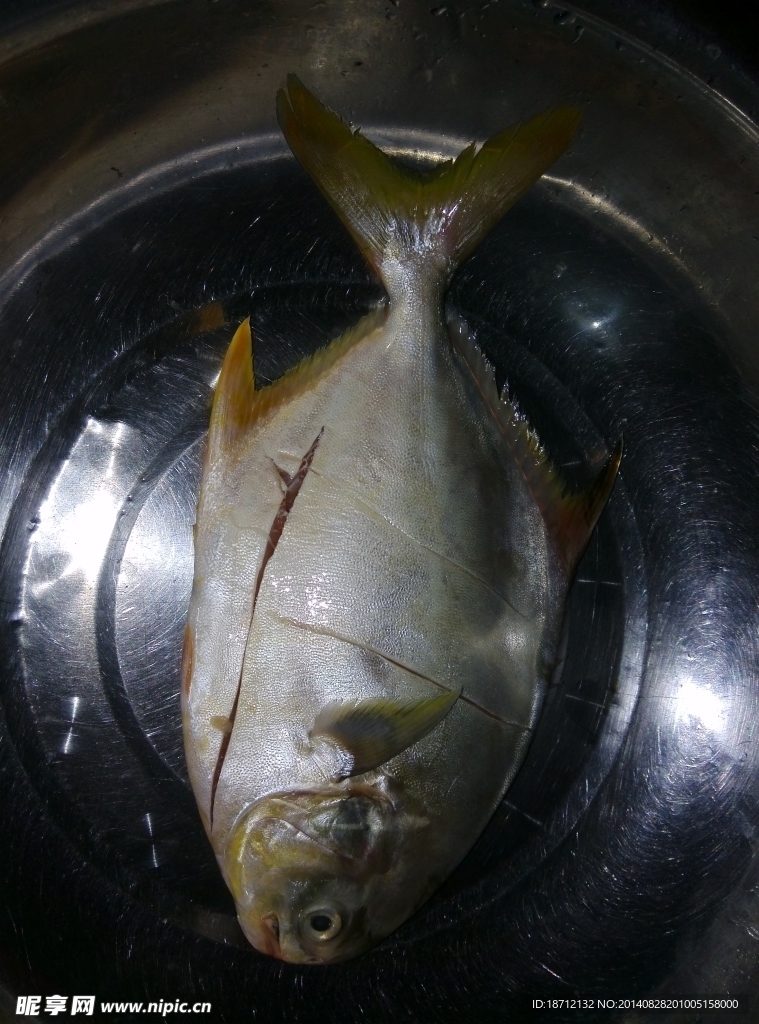 黄鲳鱼