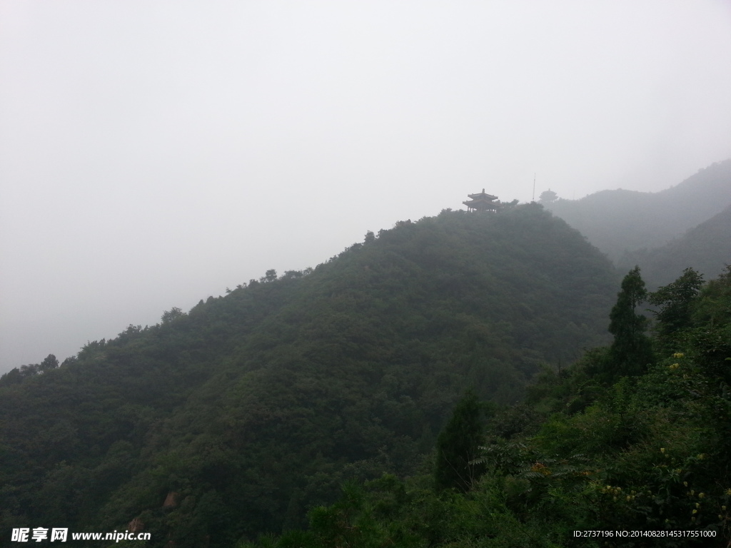 绿色风景