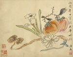 柱子灵芝