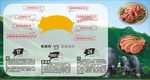 黑猪肉优点