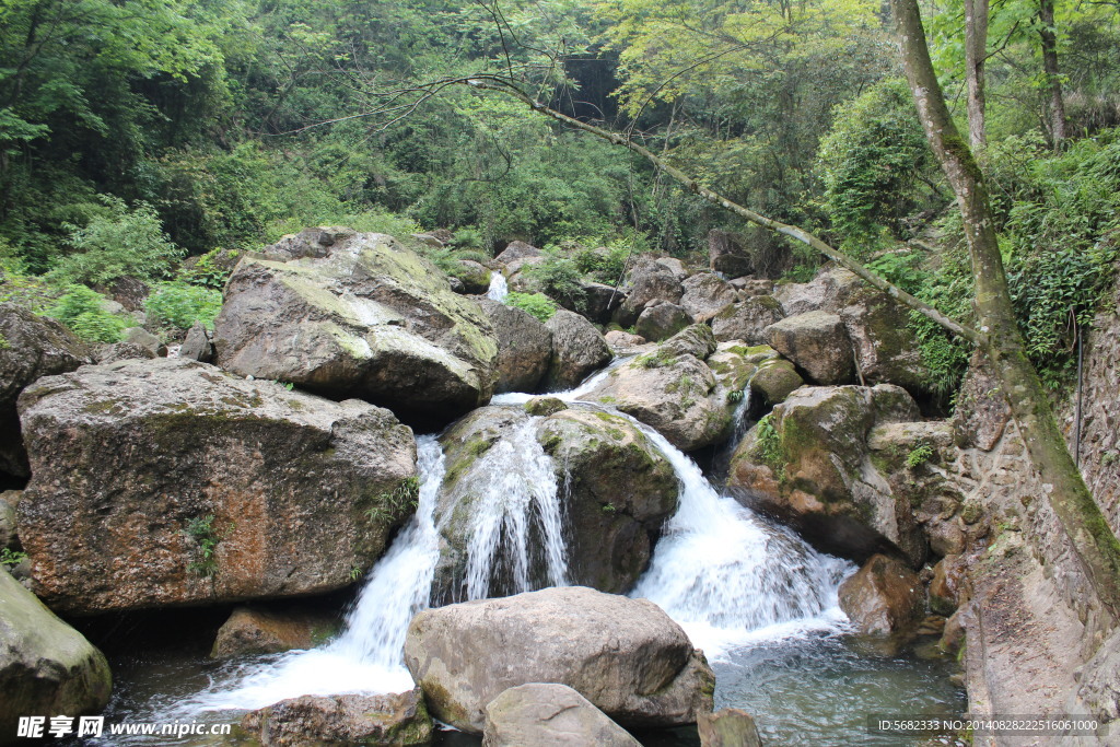 石上清泉