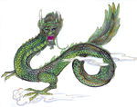 龙