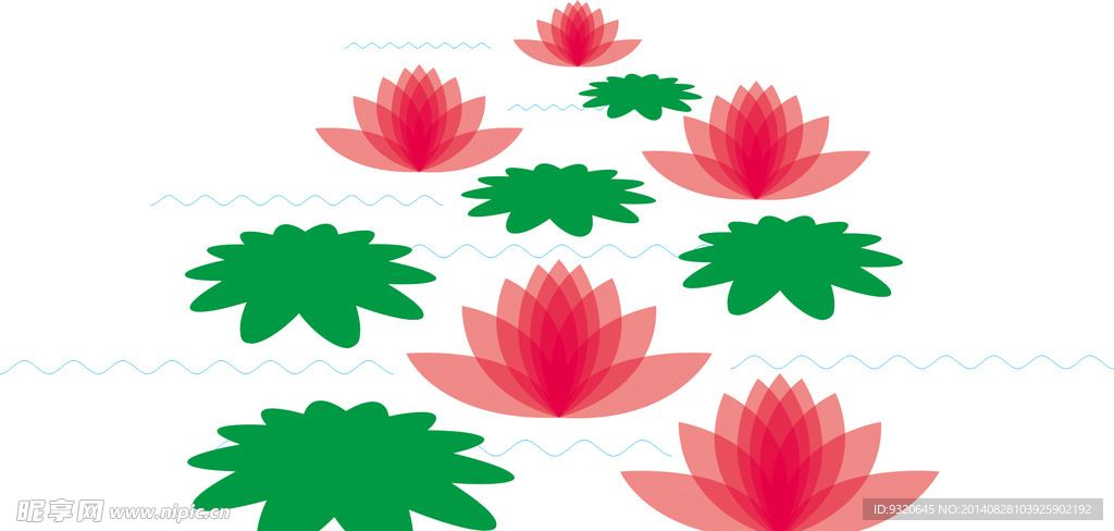 荷花