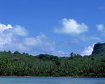海岸风光