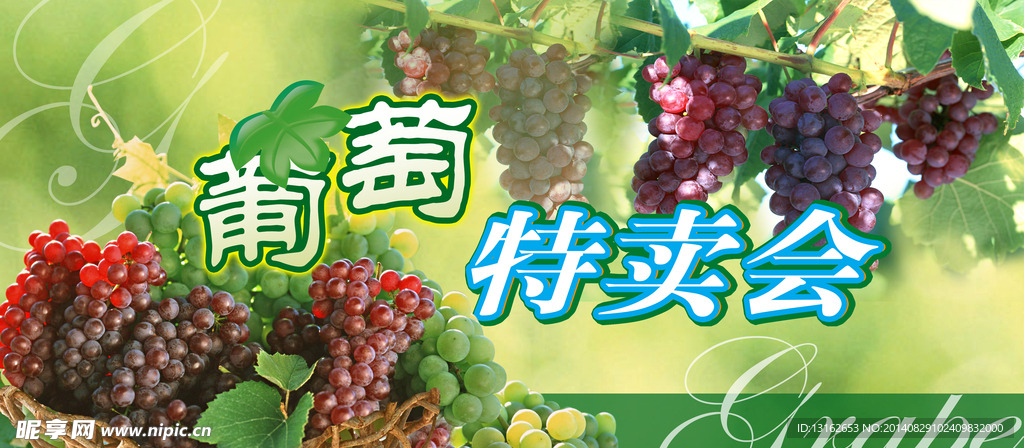 葡萄特卖会