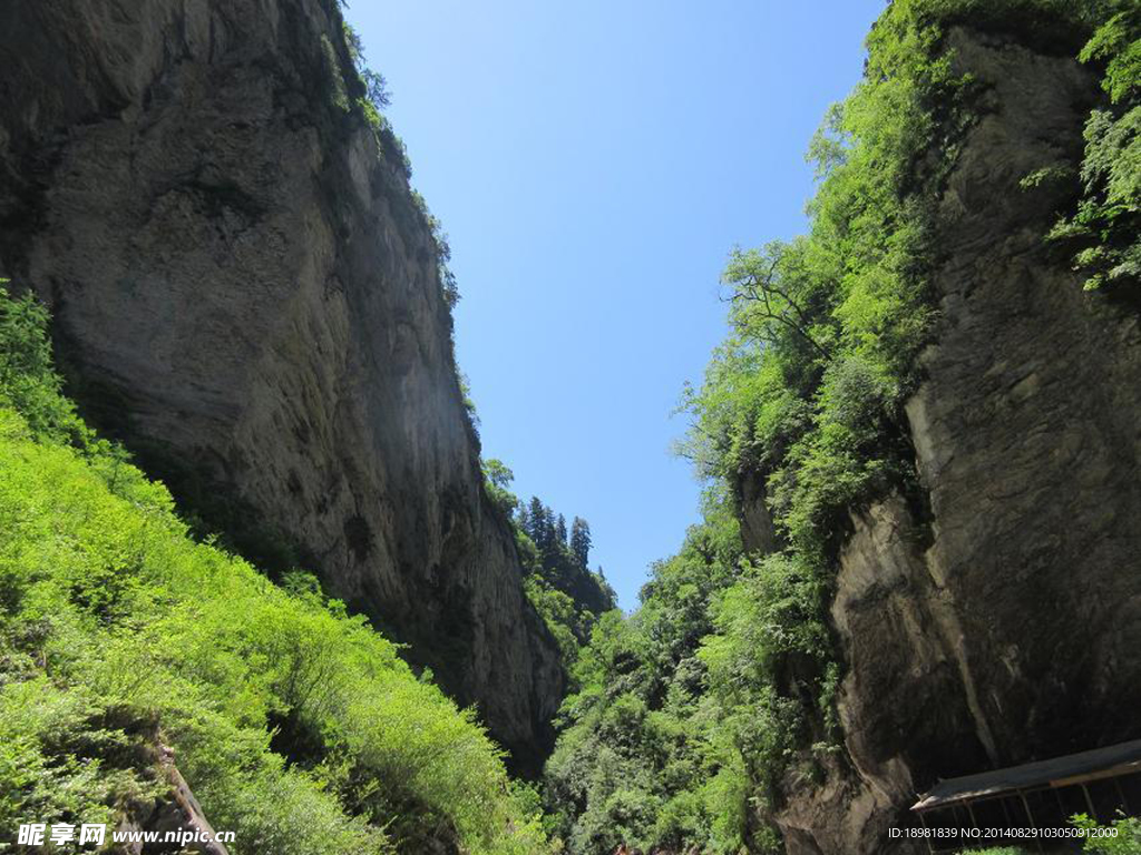 生态风景