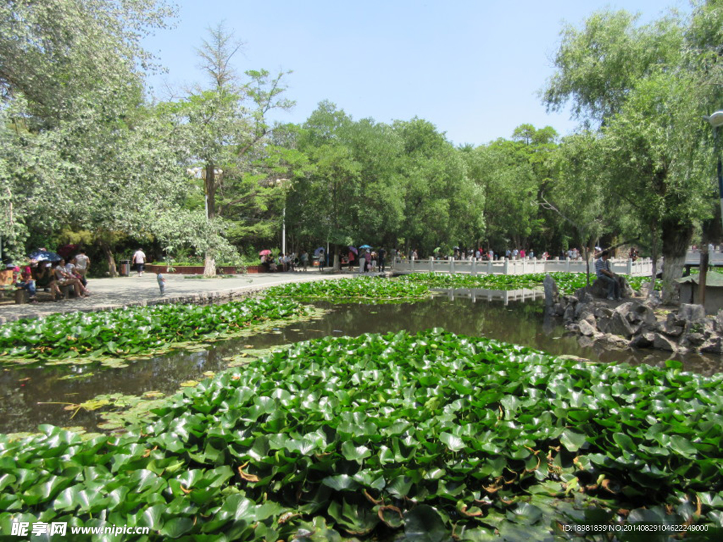 摄影风景图