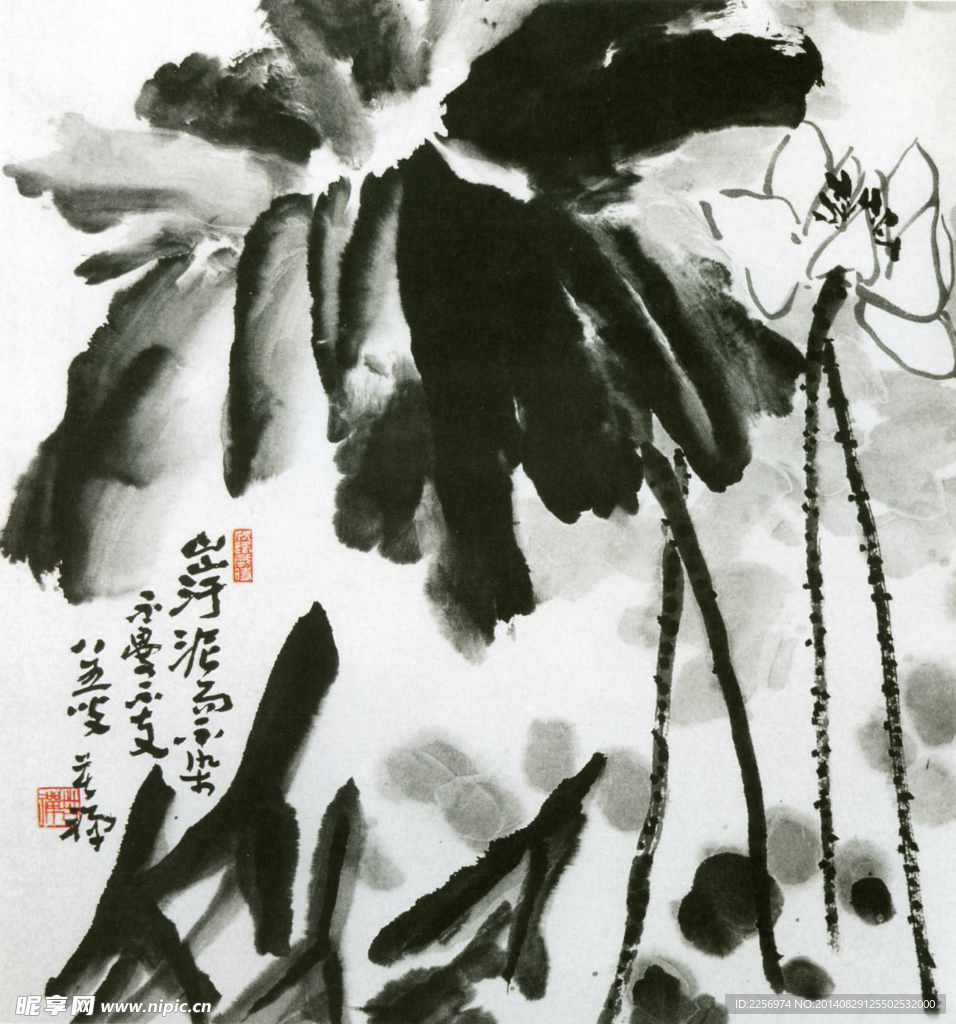 荷花彩墨画